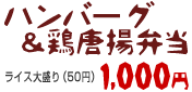 ハンバーグ＆鶏唐揚弁当 1000円